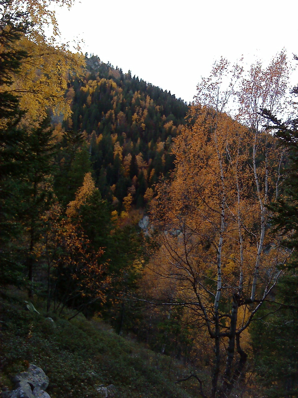Automne