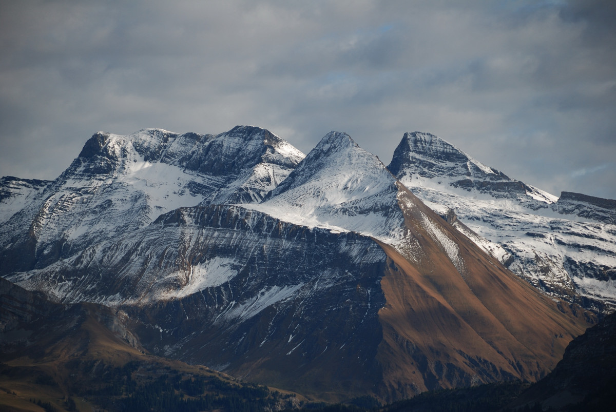 Arête du Brienzergrat : groupe du Schwarzhorn