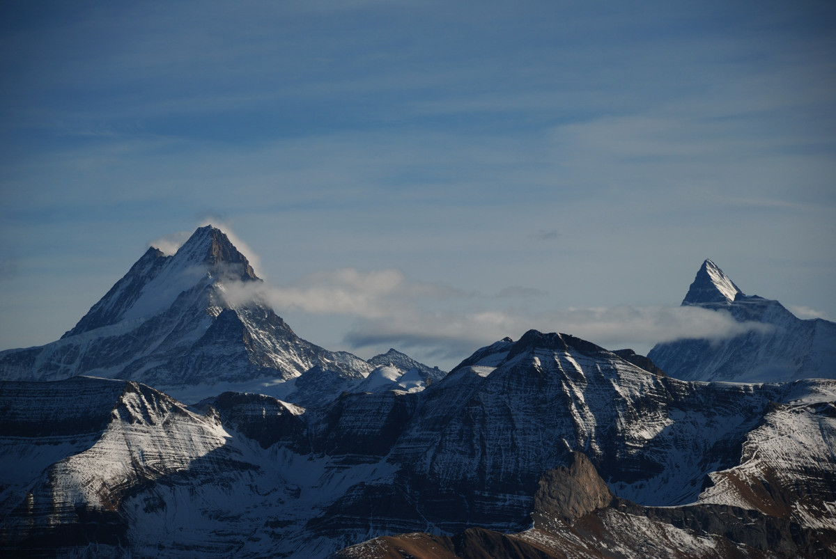 Schreckhorn (4086m) et Finsteraarhorn (4274m) vus de l'arête du Brienzergrat