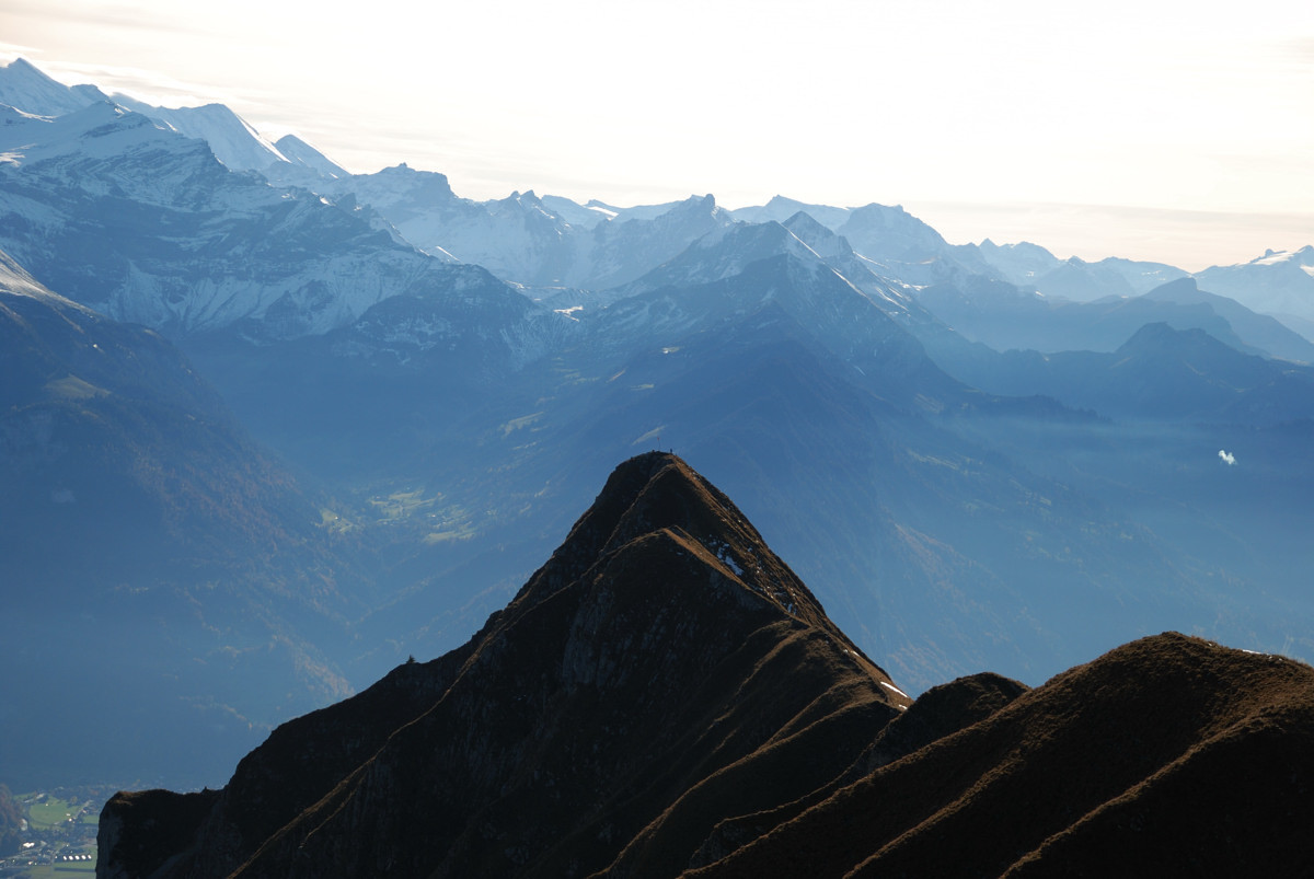 Suggiture (arête du Brienzergrat). Au fond Doldenhorn, Altels, Wildstrubel et Wildhorn