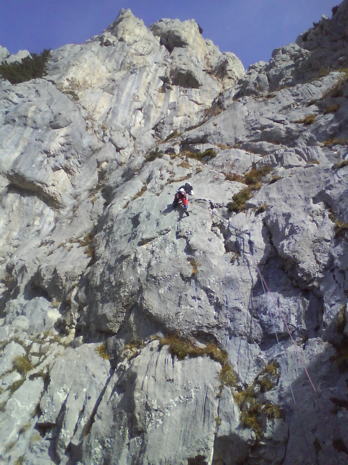 Damien dans L2