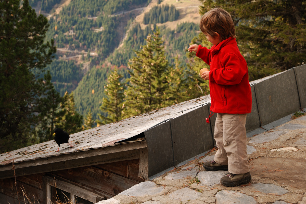 Engelhornhütte (Oberland Bernois)