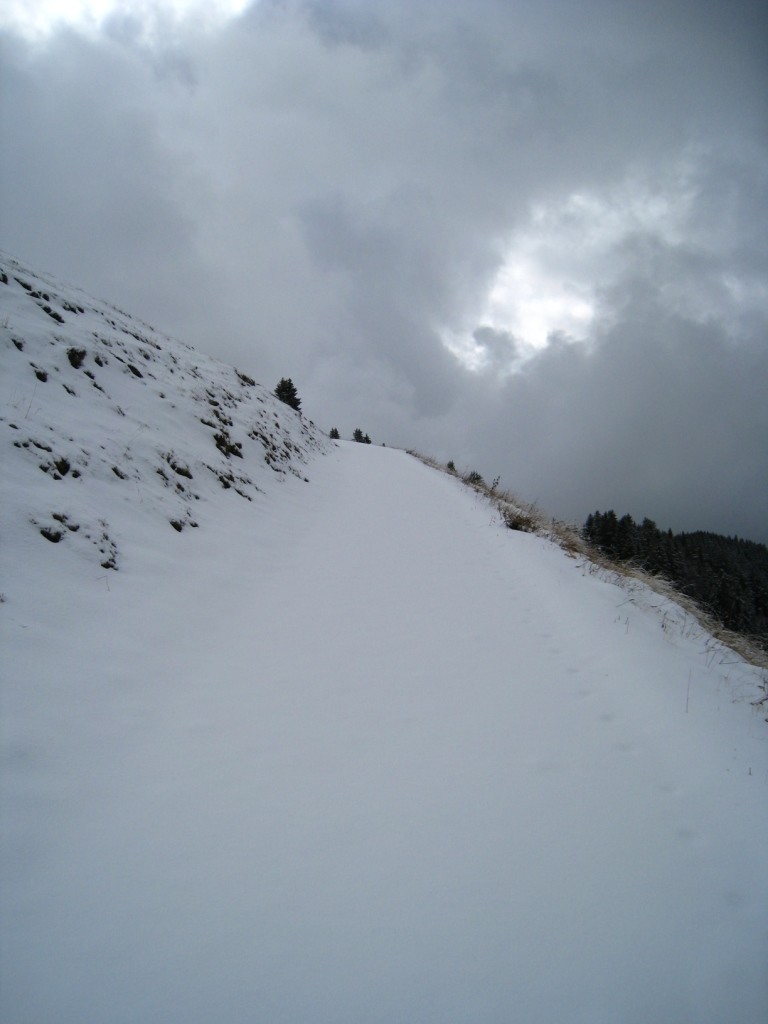 Traces