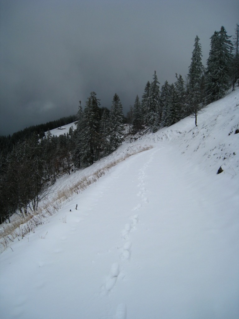 Traces