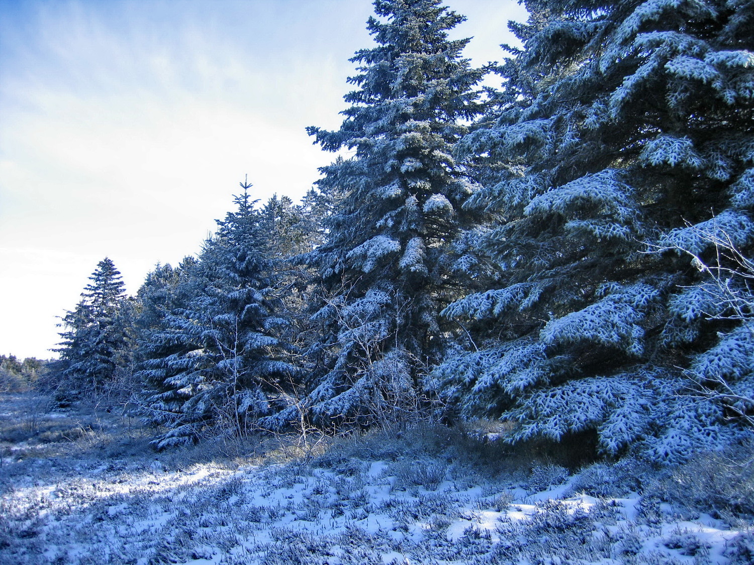 premiére neige 2009-10 au pilat