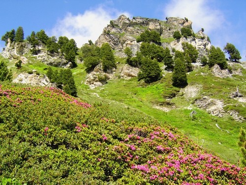 VANOISE_Aussois, près du Lac Plan d'Amont