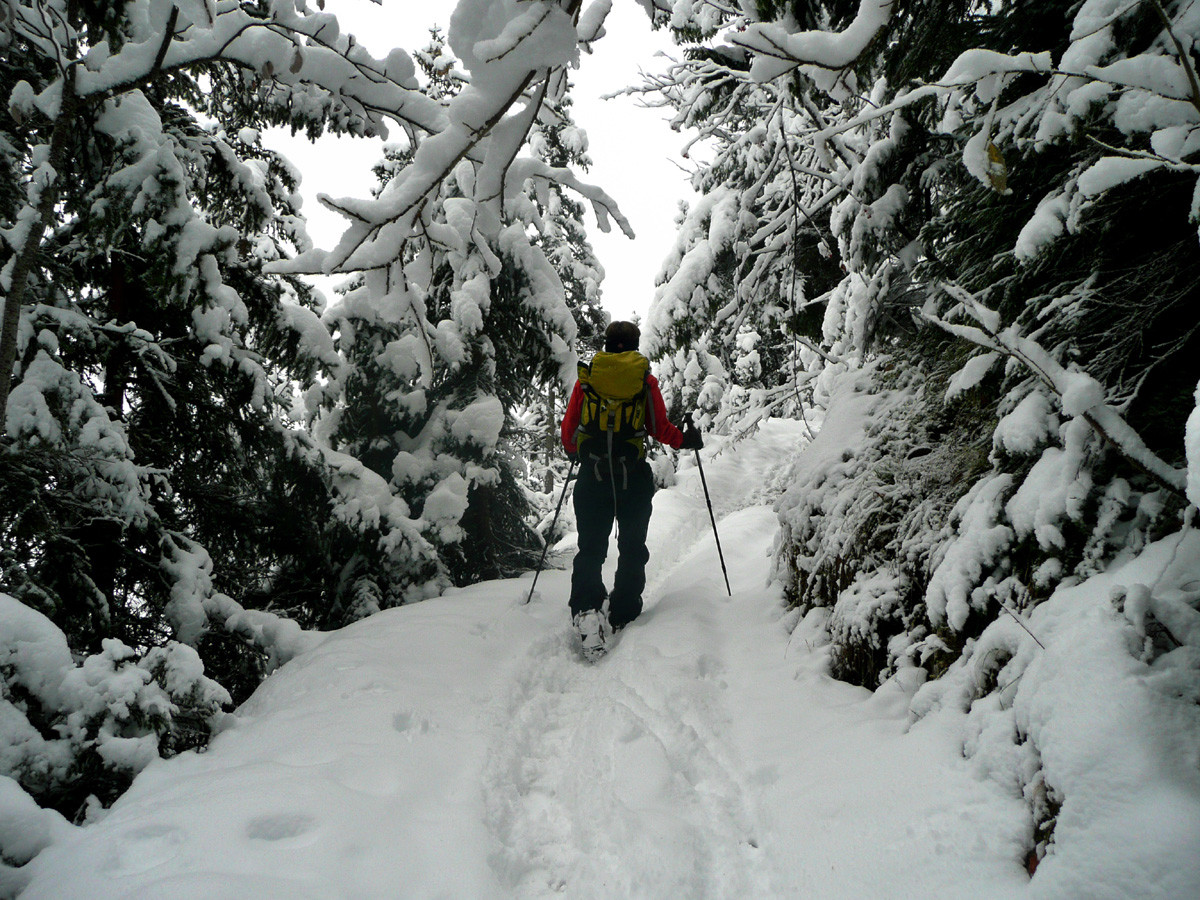 Montée au Col du Freu depuis la Vallée du Borne, vers 1400m