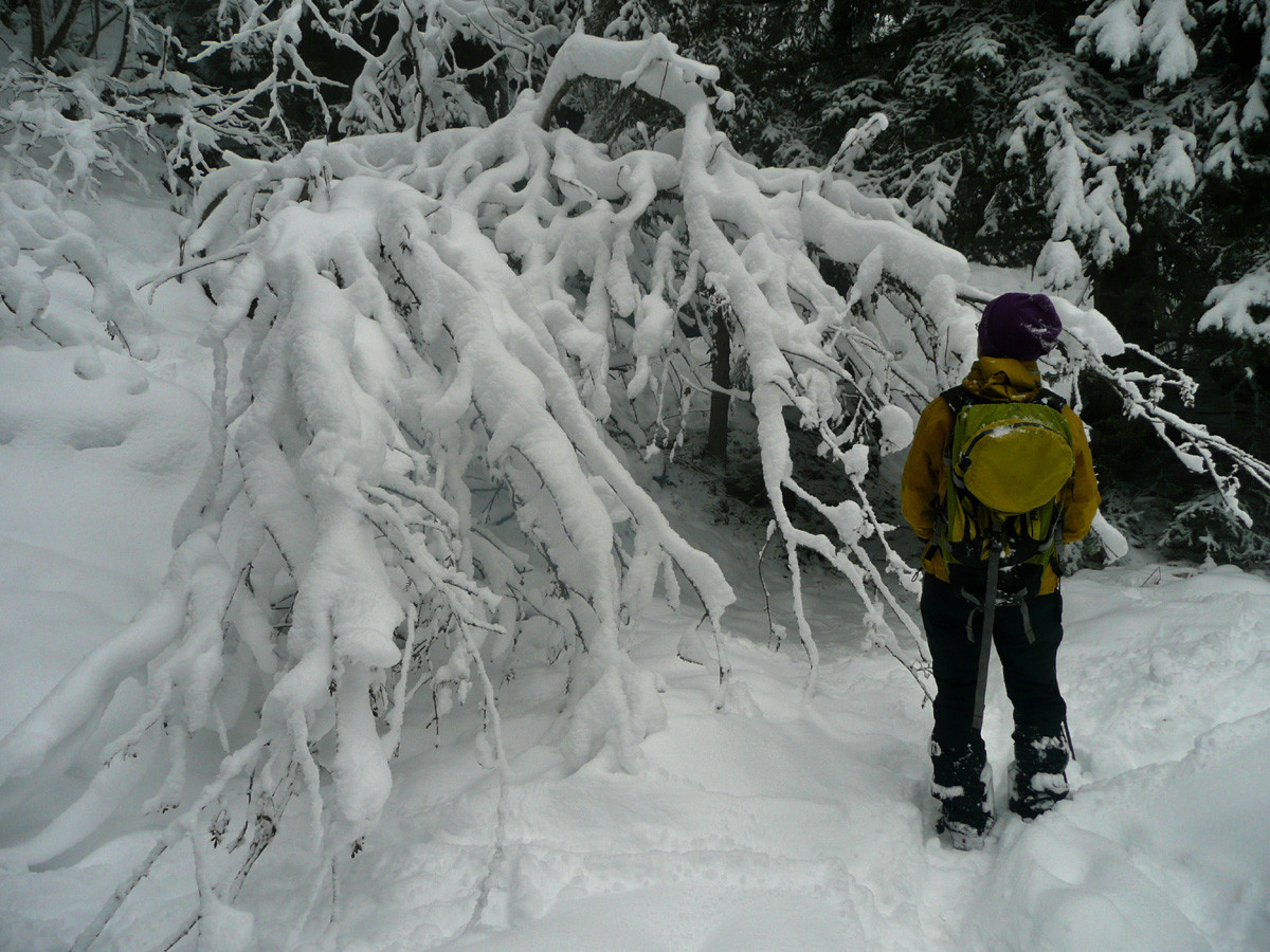 Redescente du Col du Freu vers la Vallée du Borne, vers 1350m