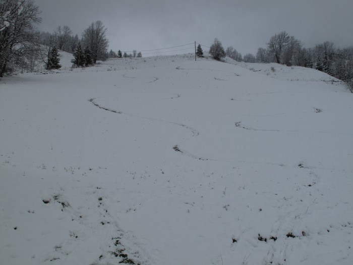 Fin de la descente (neige ou herbe?)