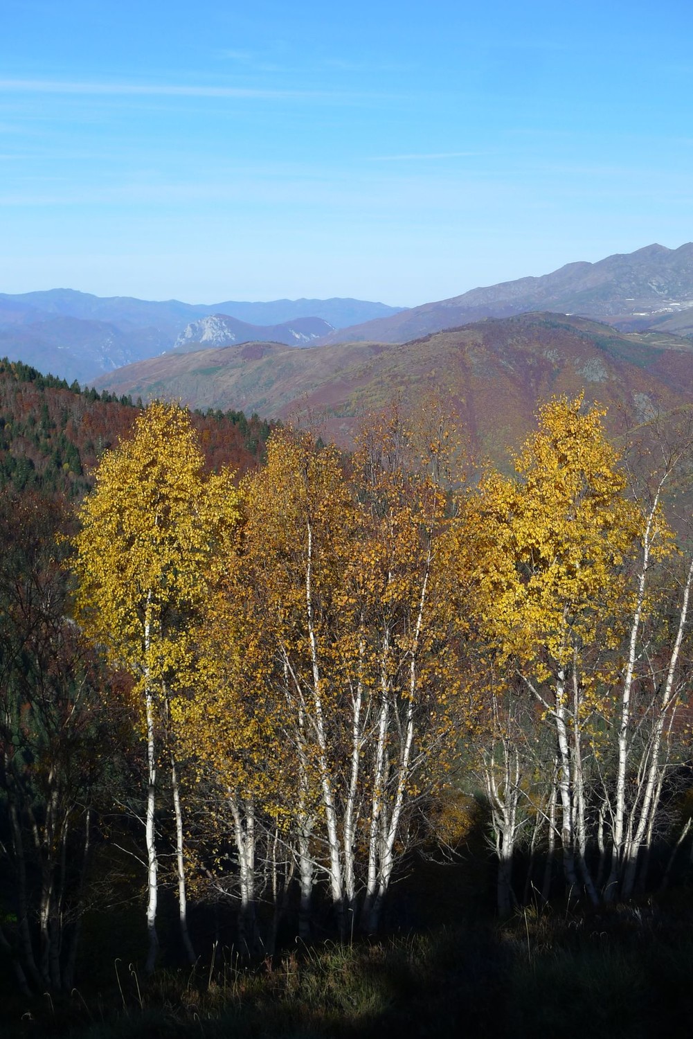 C'est l'automne en Ariège