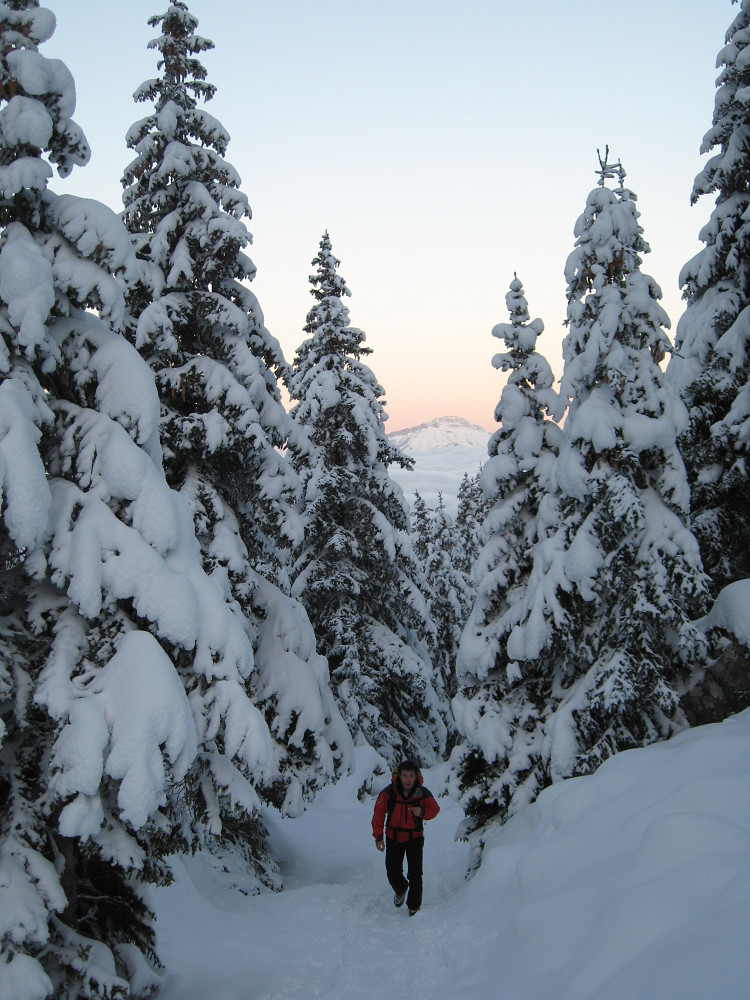 Pointe du Sifflet : la montée dans la forêt, belle ambiance hivernale