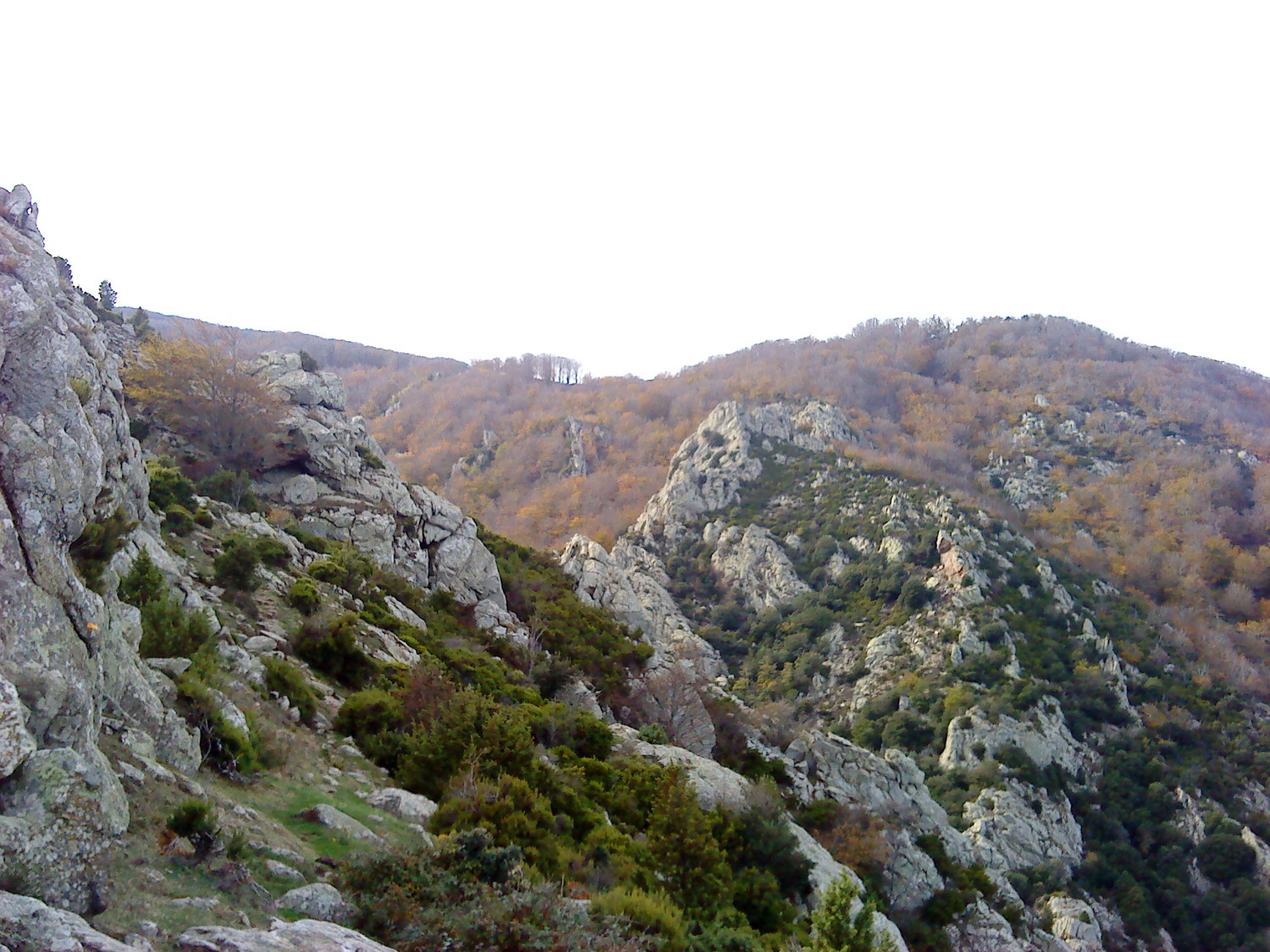 vers le col des 3 hêtres