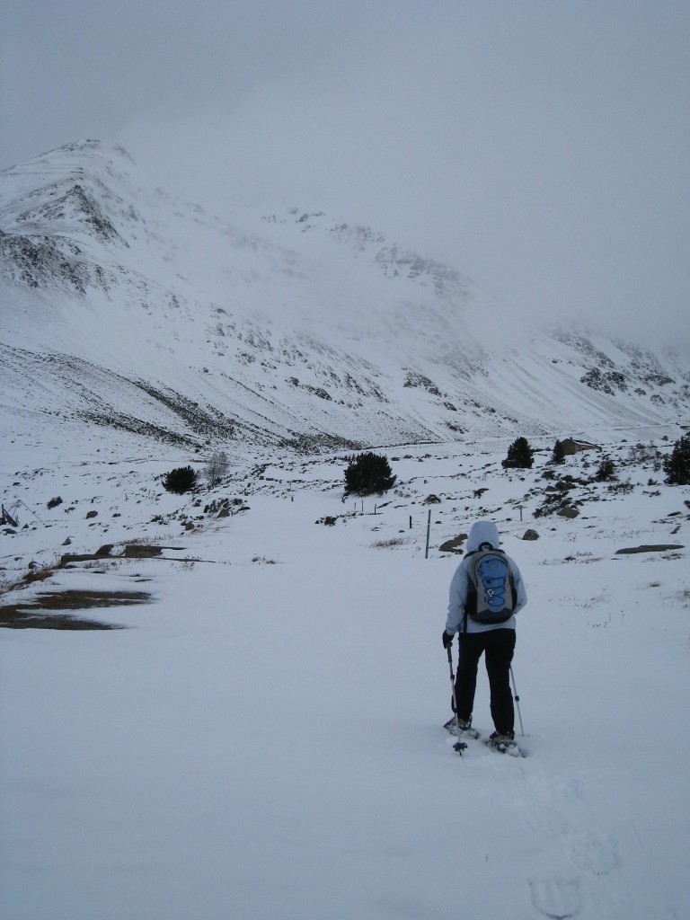 A 1900m, encore peu de neige et bcp d'herbe!