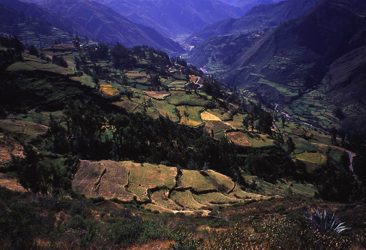 Au dessus de Chiquian