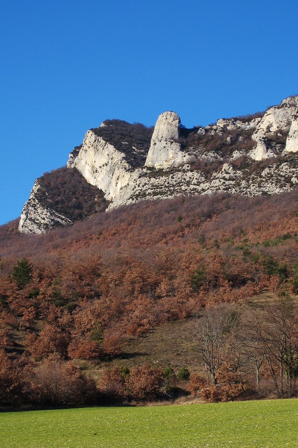 Saoû : Roche Colombe (G) et Poupoune (D) vues depuis Saoû