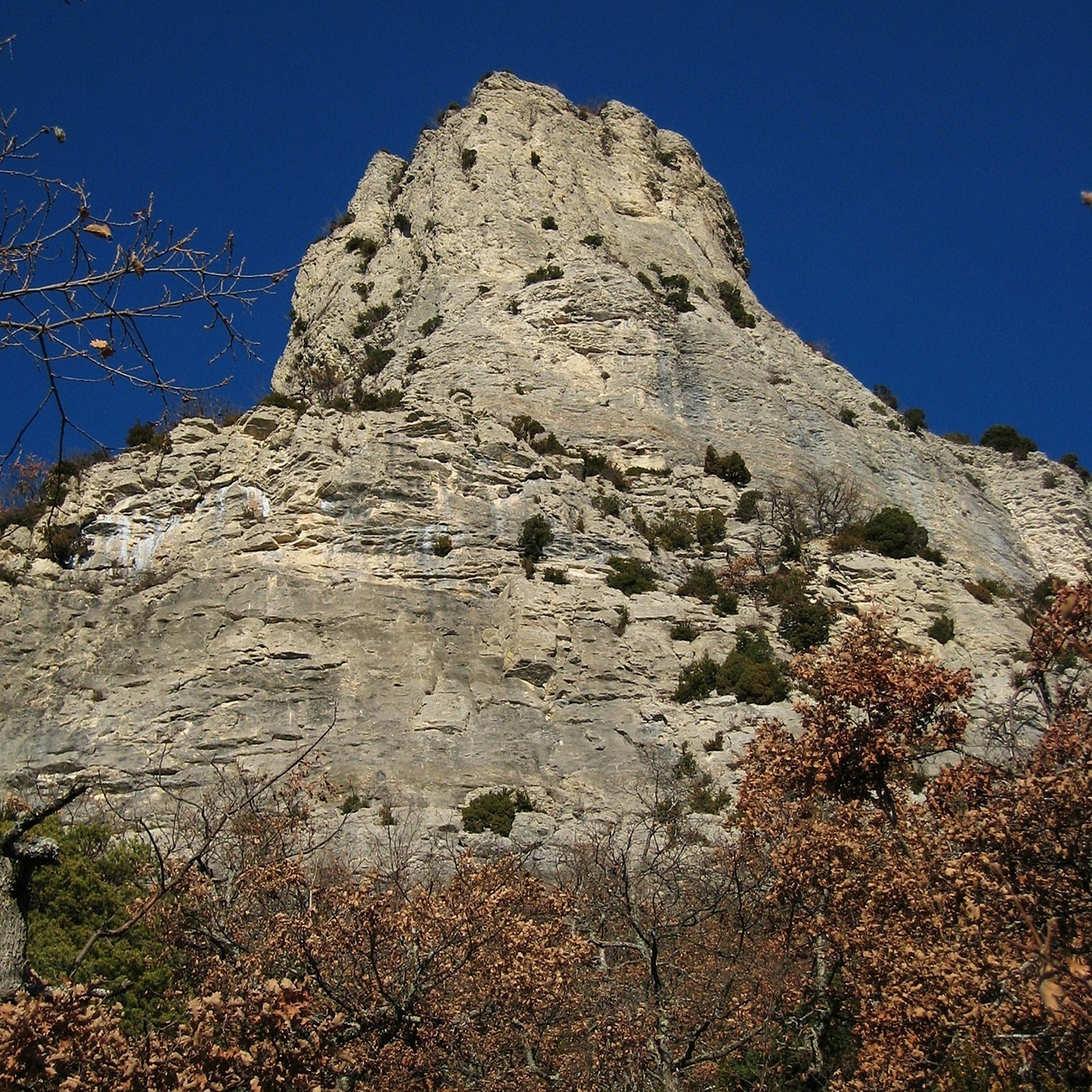 La Poupoune (Saoû) en contre-plongée