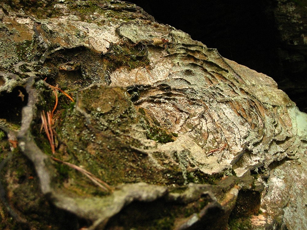 Limonite et grès, Red River Gorge, USA