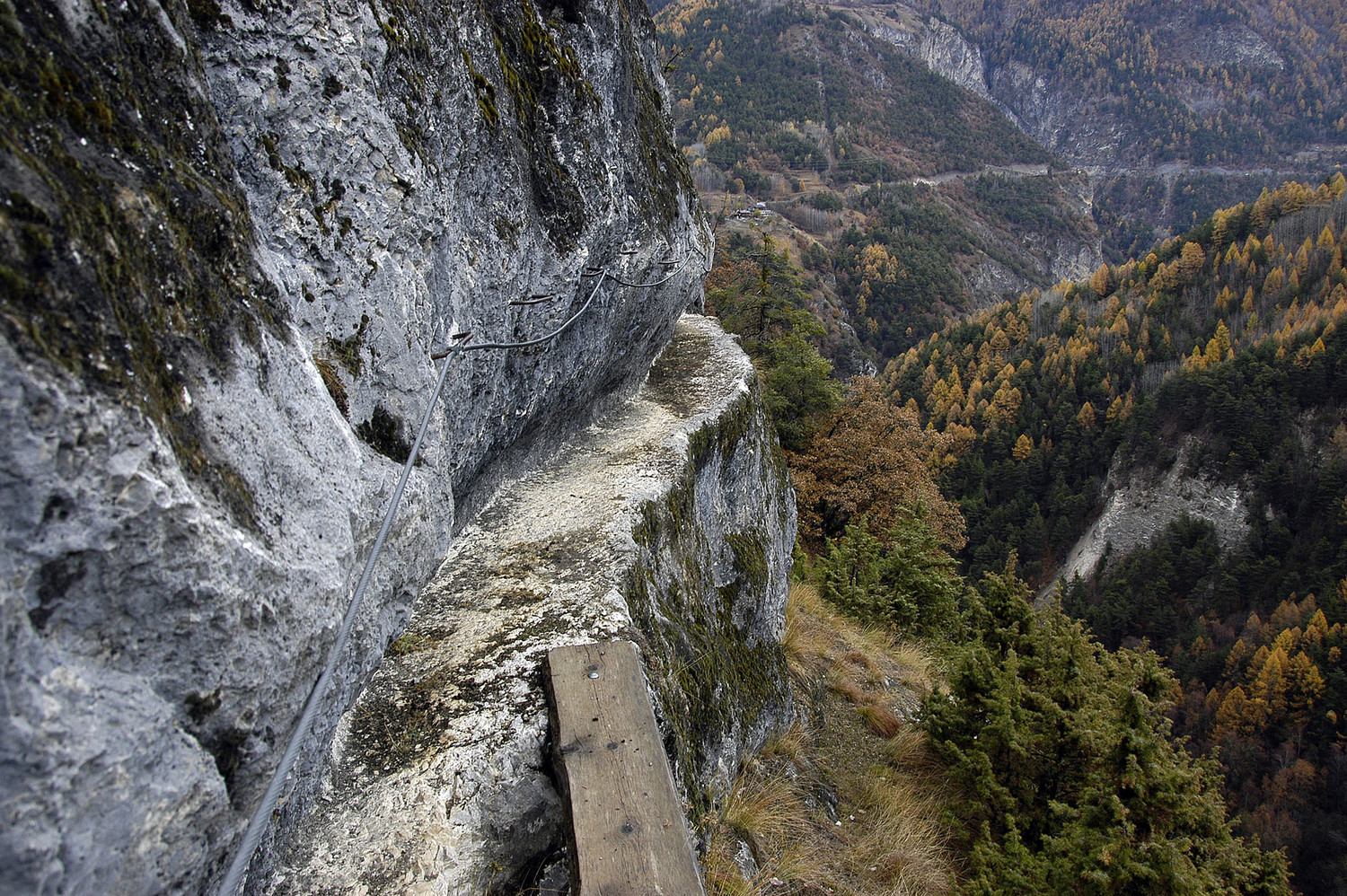 Bisse des Sarrasins