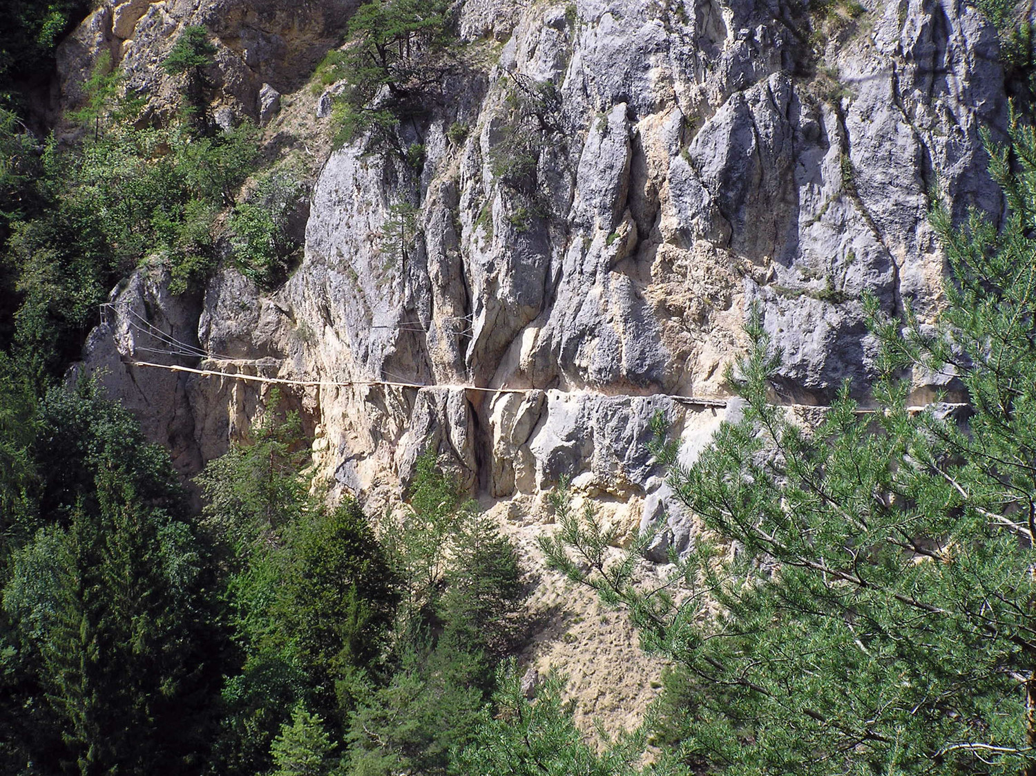 Bisse des Sarrasins