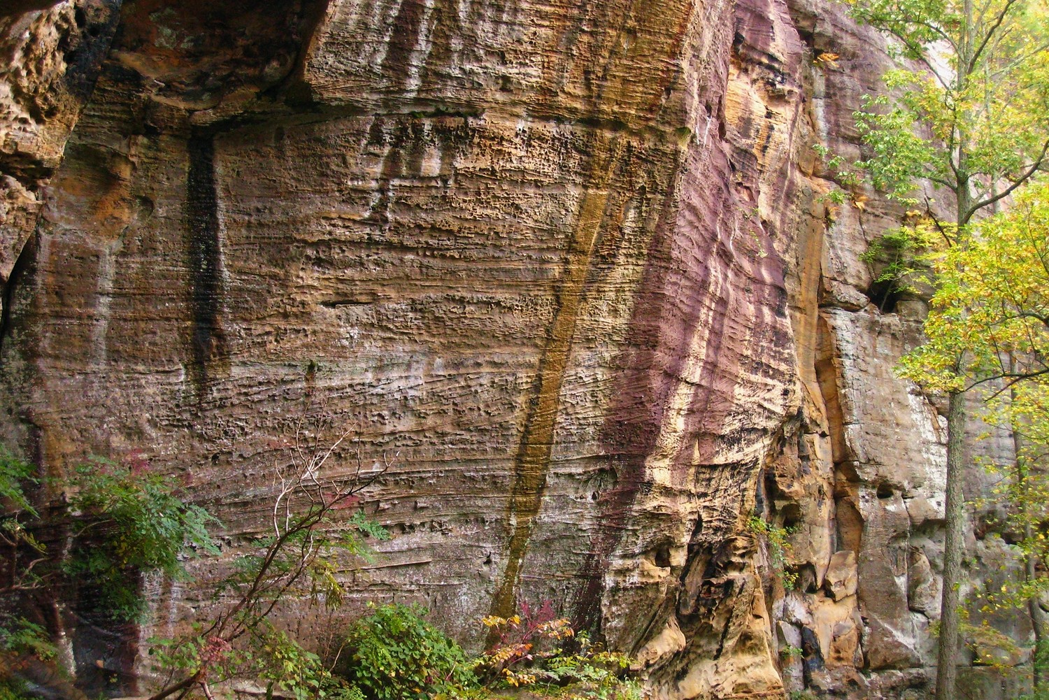 Bob Marley Crag, Red River Gorge, USA