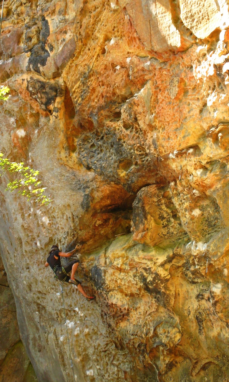 Nagypapa (5.13d), Military Wall, Red River Gorge, USA
