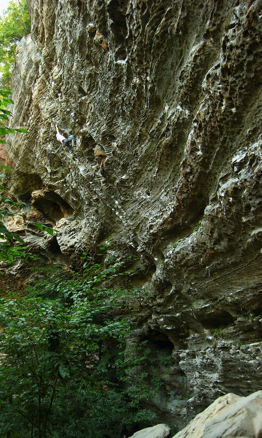 Harvest (5.12d), The Motherlode, Red River Gorge, USA