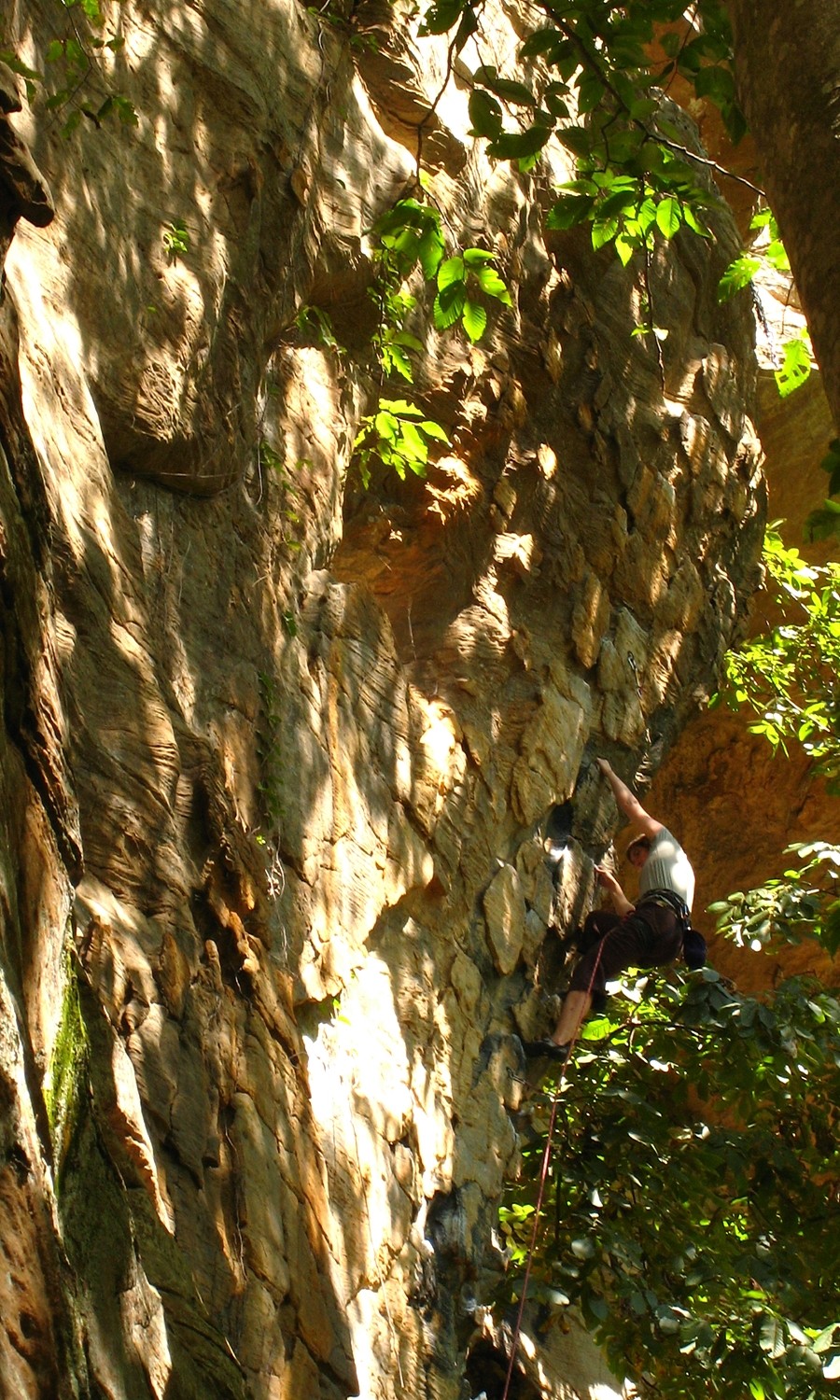 A brief History of Climb (5.10b), The Gallery, Red River Gorge, USA