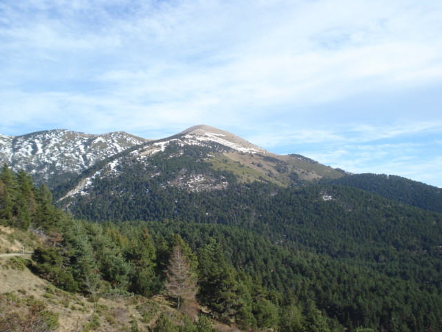 Le Pelade