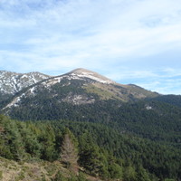 Le Pelade
