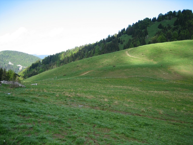 Col de Bornette