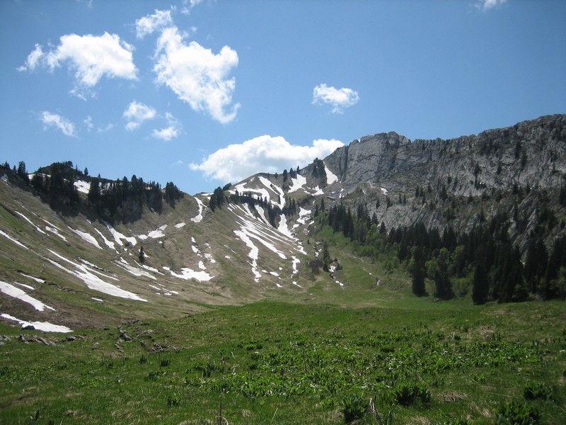 La combe (depuis une piste jeepable a été tracé sur la gauche)