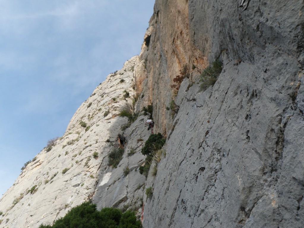 Dans L9