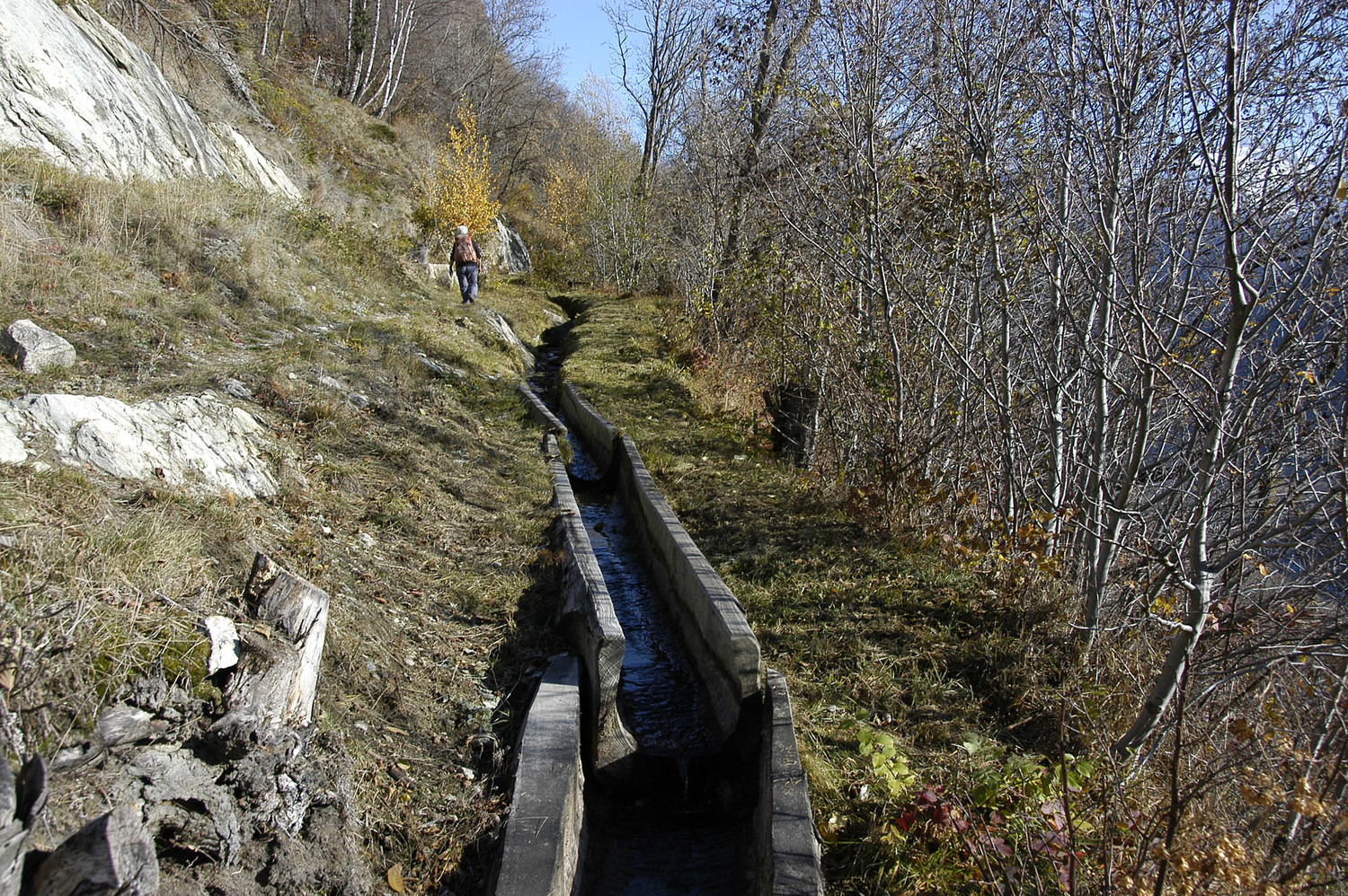Bisse de Badmeri