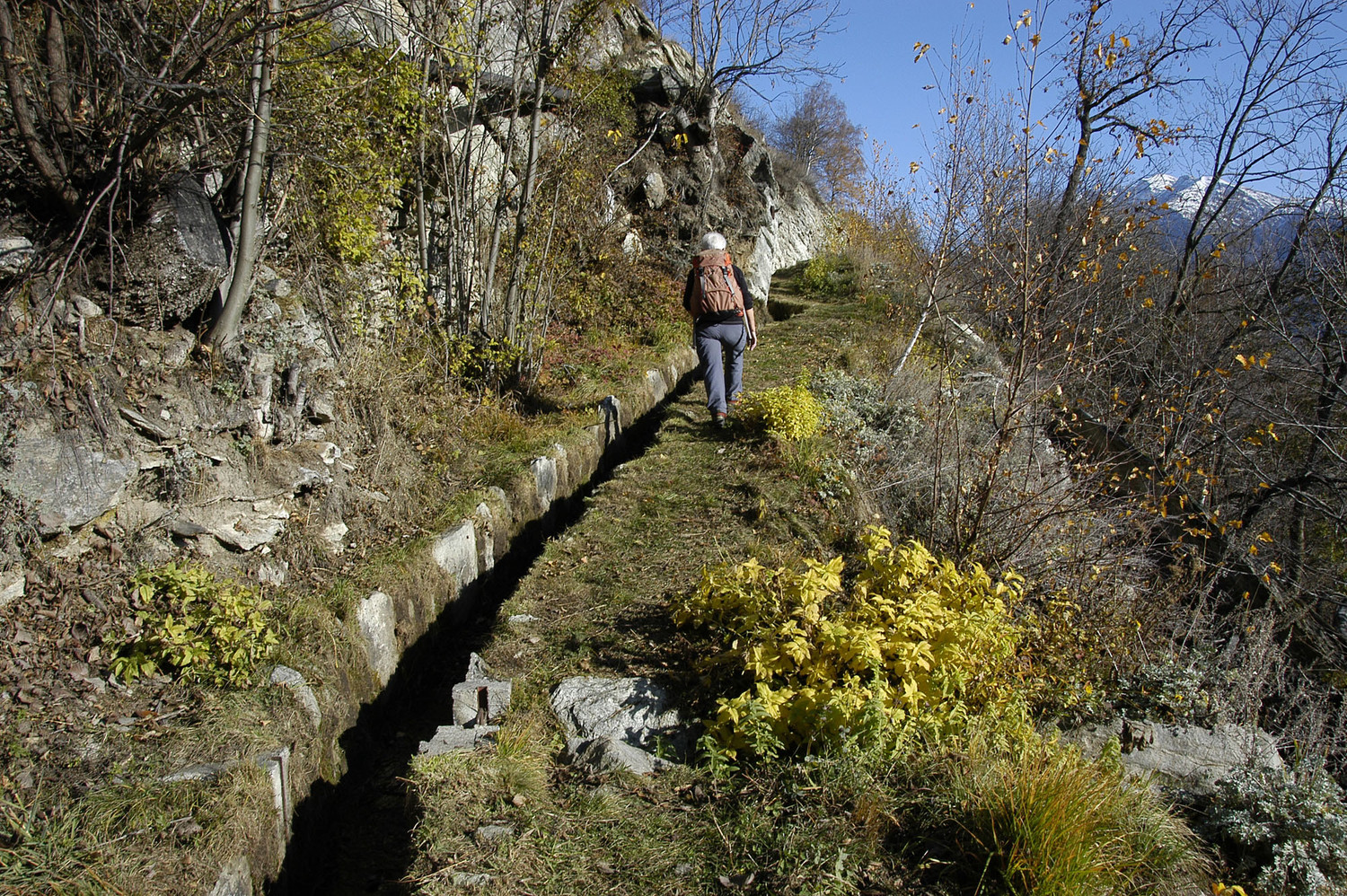 Bisse de Badmeri