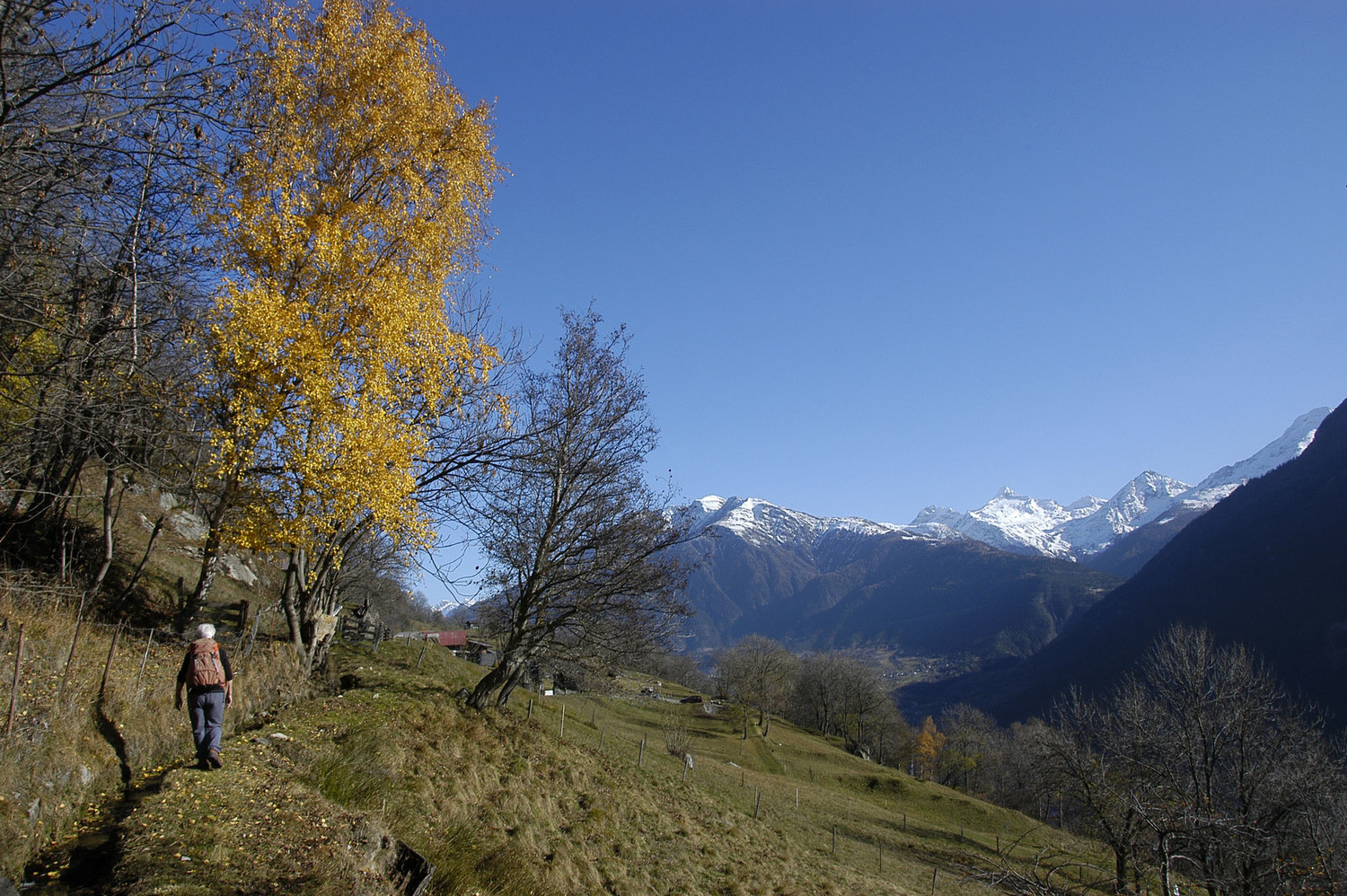 Bisse de Badmeri