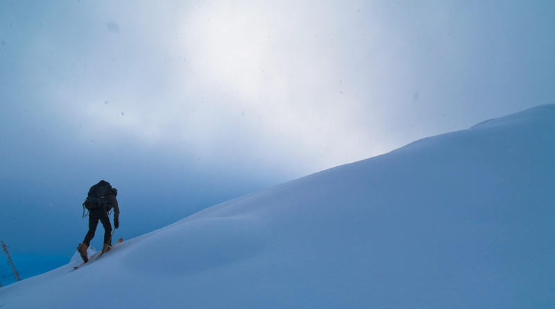 into the white