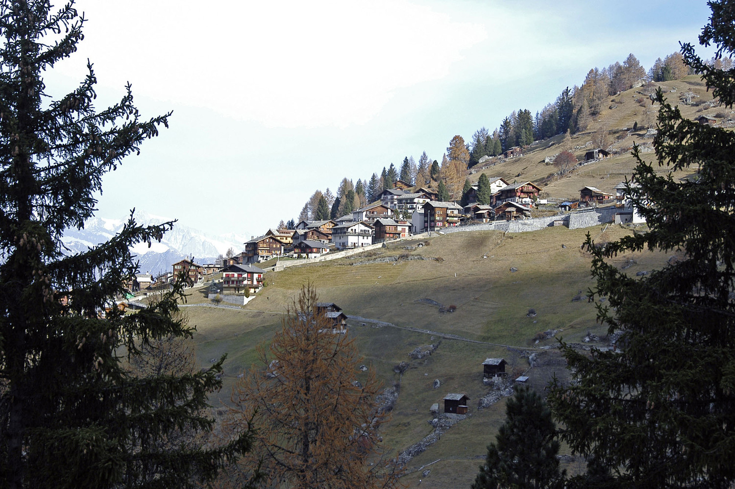 Gasenried
