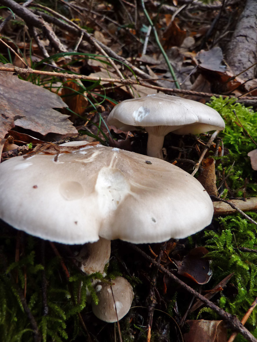 rencontre matinale...