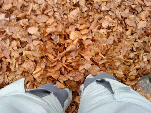 Le tapis: Où sont mes pieds?