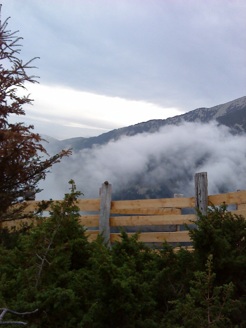 La brume monte