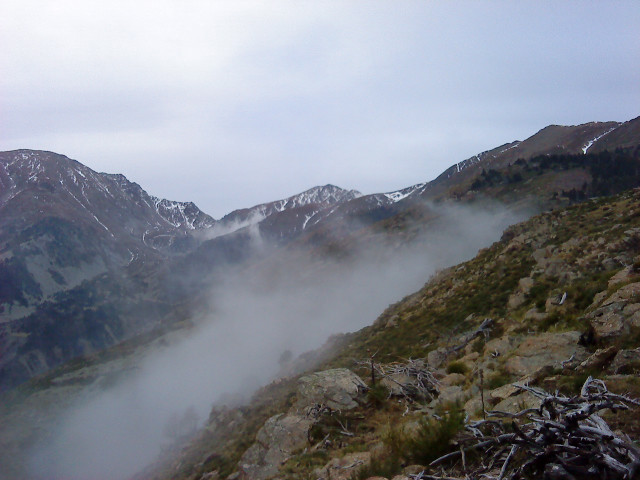 La brume monte