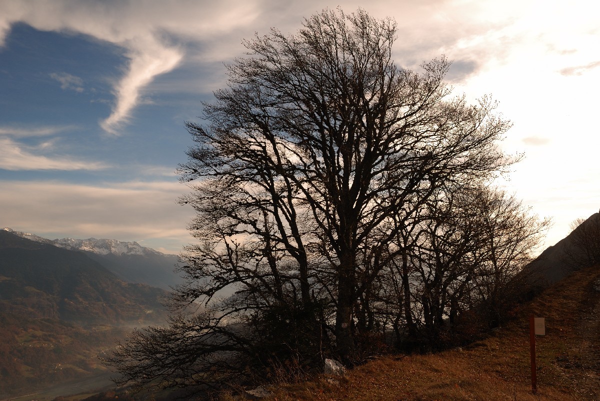 Au col de l'Alpettaz, sous la Dent de Cons