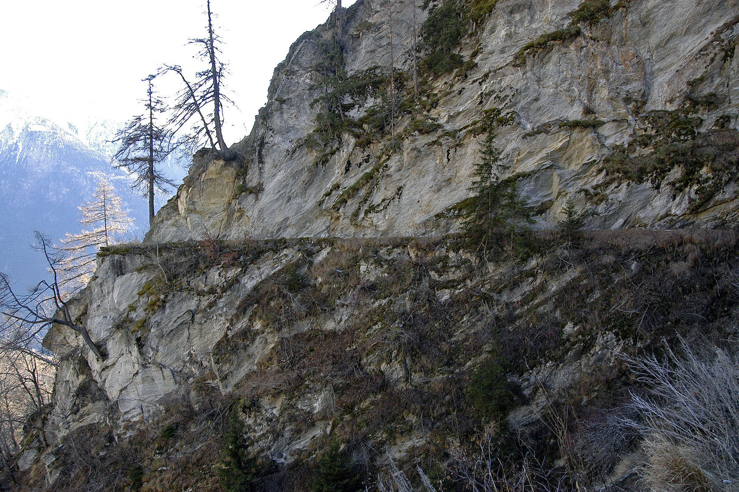 Bisse de Niwa
