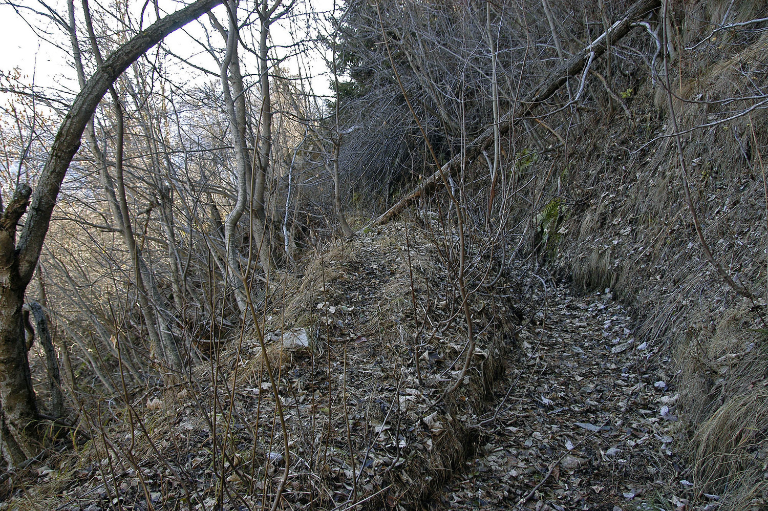 Bisse de Niwa