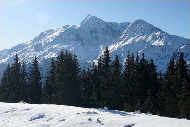 Le Mont Pourri et la forêt du Mousselard