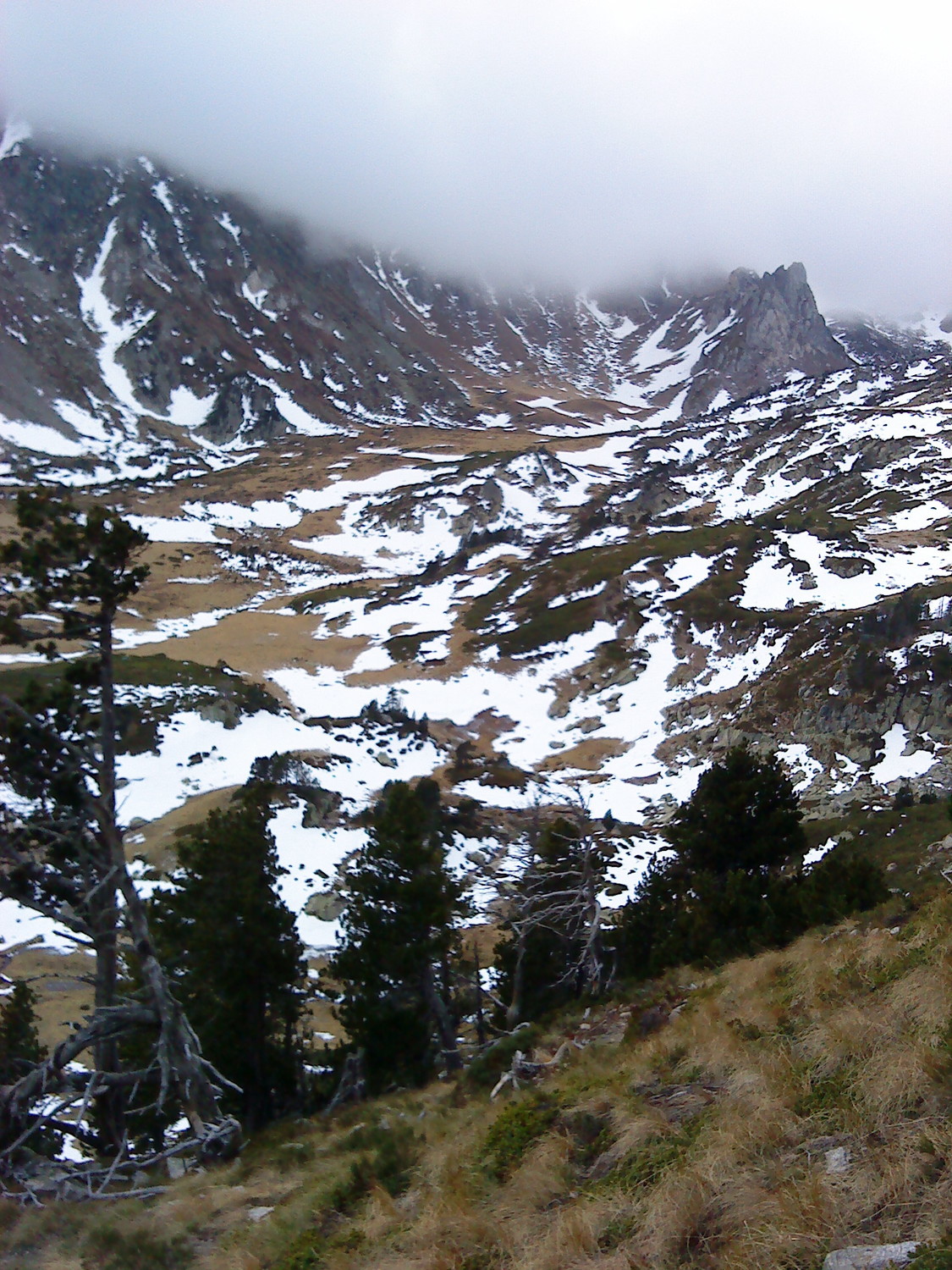 La neige arrive