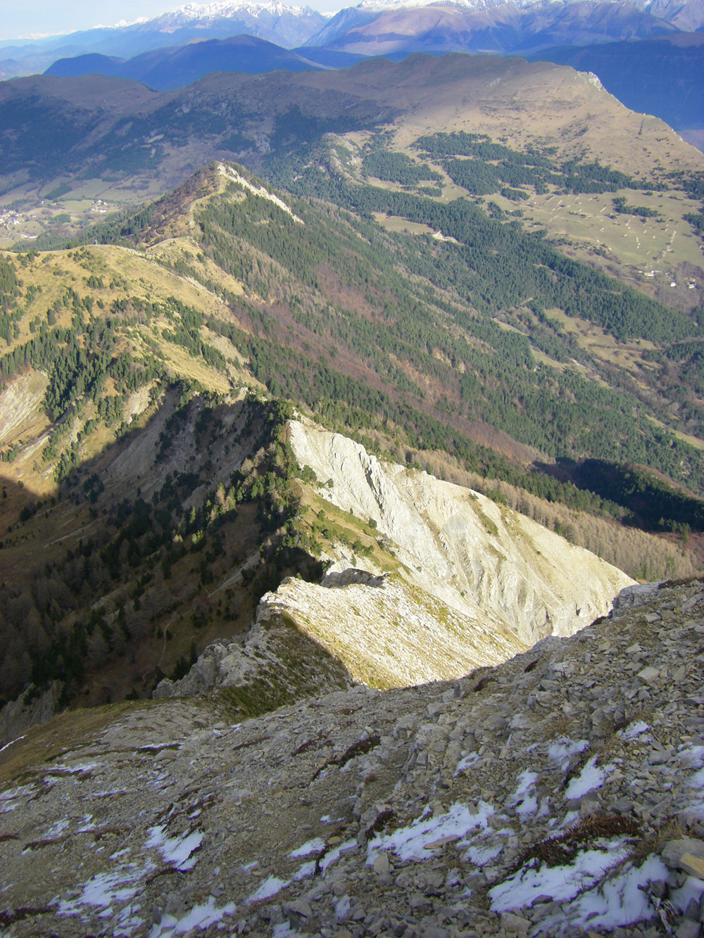 L'arête dans son intégralité.