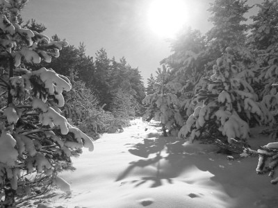 neige et montagne