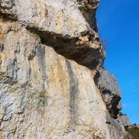 Partie du mileu