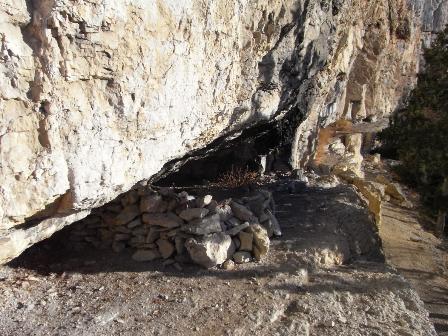 Bivouac vire aux chèvres